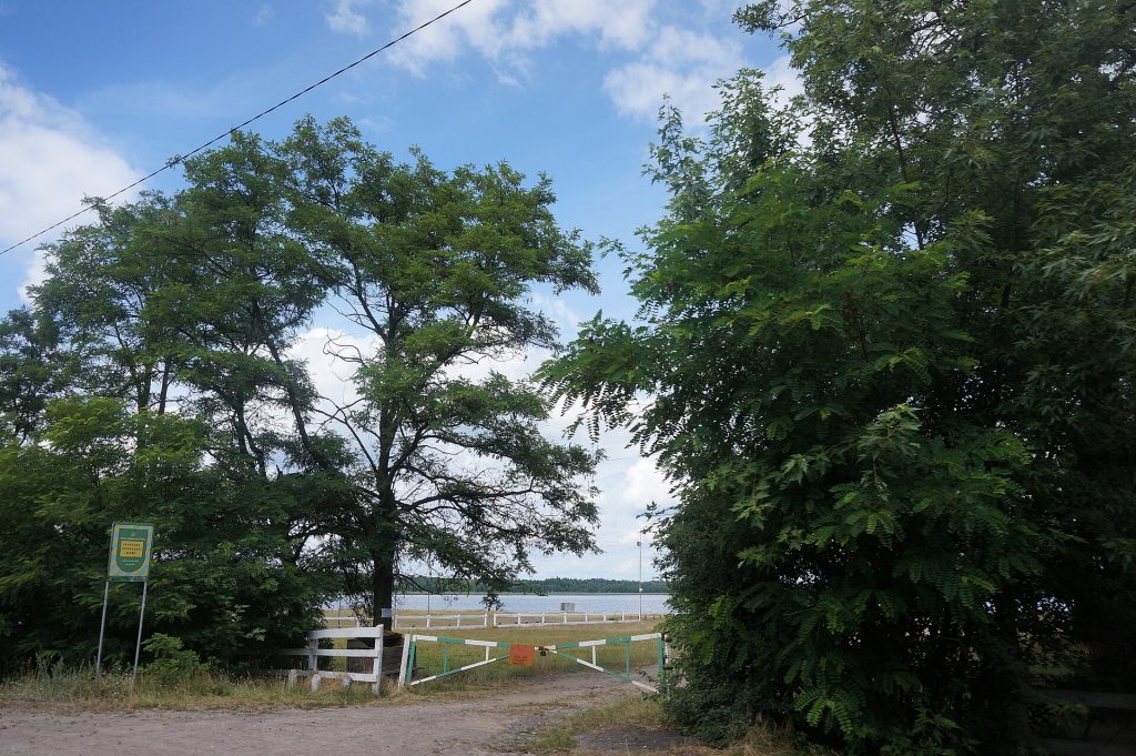 07-233-5021 Згоранські озера.jpg