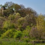 Kvasove-castle-1.jpg