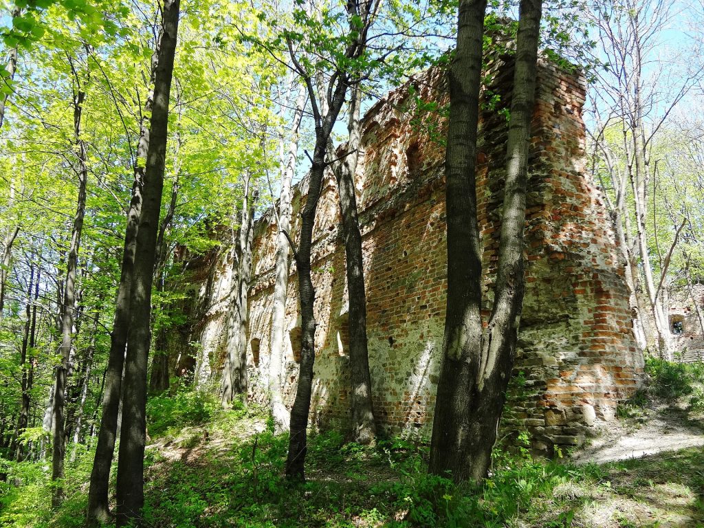 1.Добромильський замок.JPG