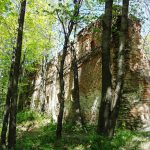1.Добромильський замок.JPG