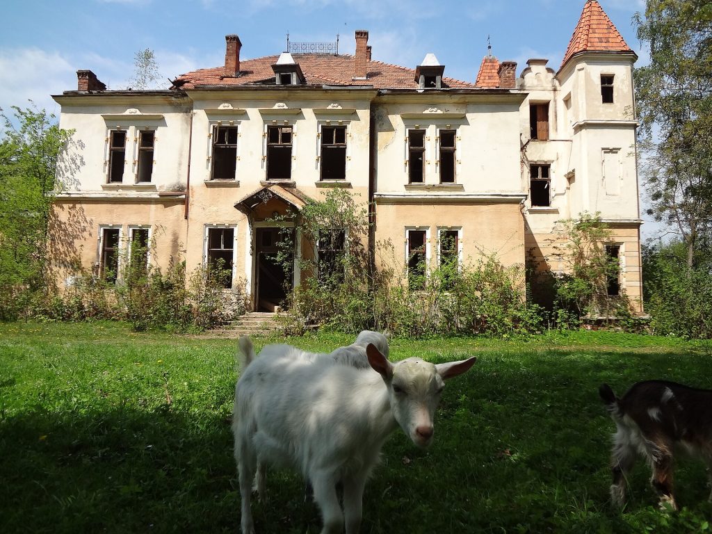 1.Палац Браніцьких у с.Підгірці.JPG