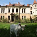 1.Палац Браніцьких у с.Підгірці.JPG