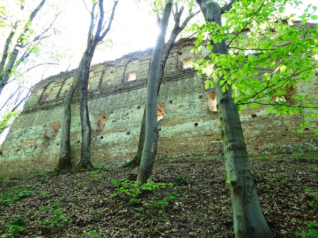 10.Добромильський замок.JPG