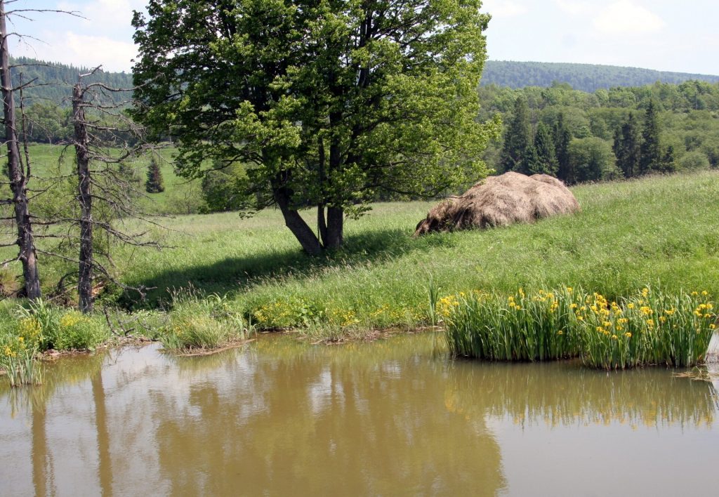 Bieszczady Teichlandschaft.JPG