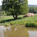 Bieszczady Teichlandschaft.JPG