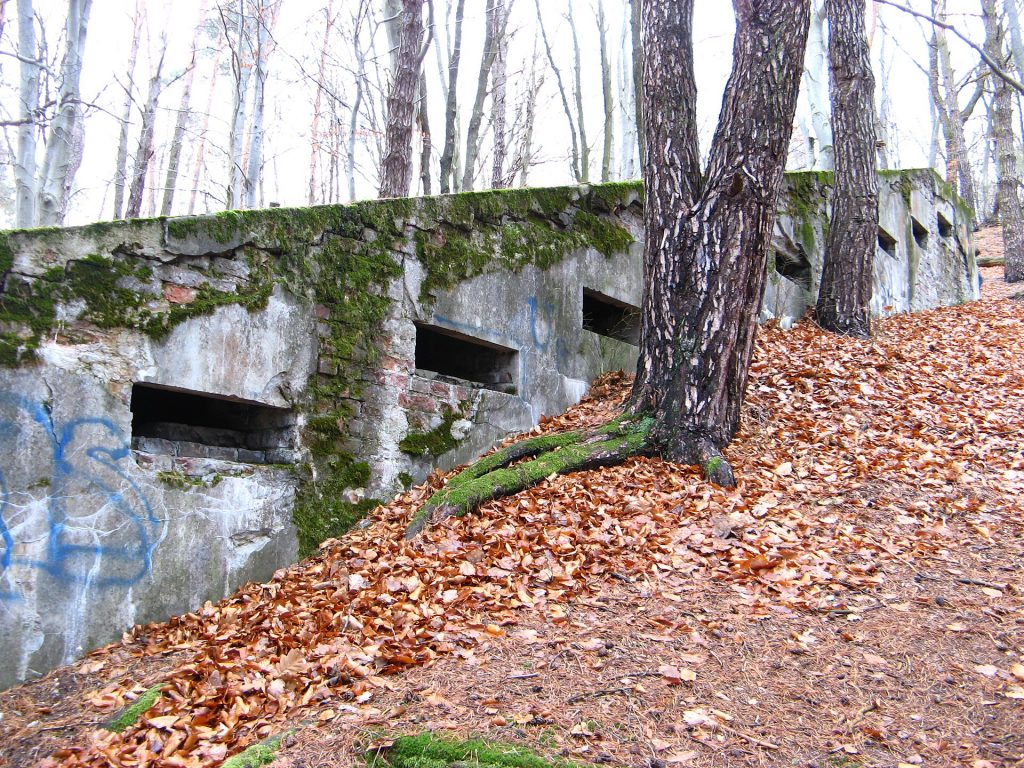 Briuhowychi-fort-1.JPG