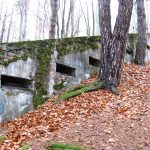 Briuhowychi-fort-1.JPG