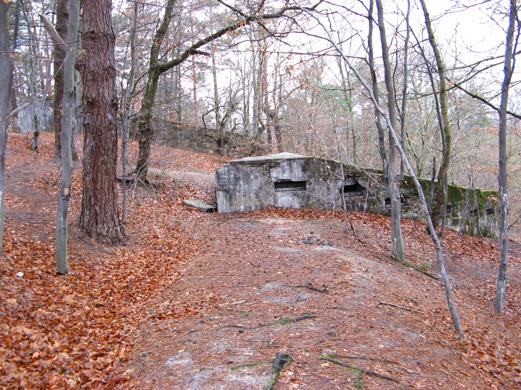 Briuhowychi-fort-2.JPG