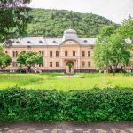 Поглинання природою людських творінь.jpg