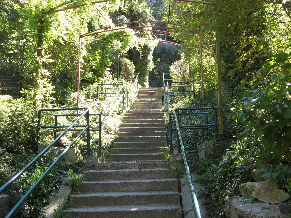 Dendrological Park of Benedykt Dybowski (3).JPG