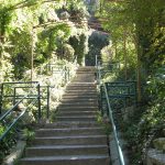 Dendrological Park of Benedykt Dybowski (3).JPG