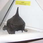 History museum of Truskavets 001.jpg