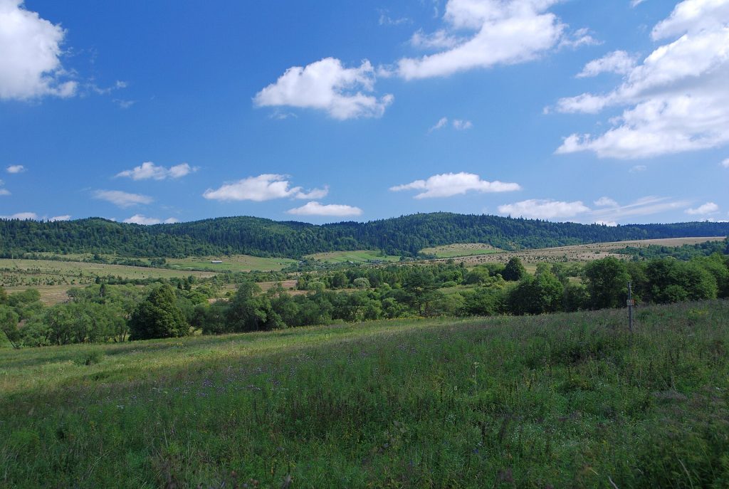 Tarnawa Wyżna (HB1).jpg