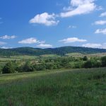Tarnawa Wyżna (HB1).jpg