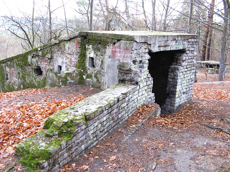 Briuhowychi fort.jpg