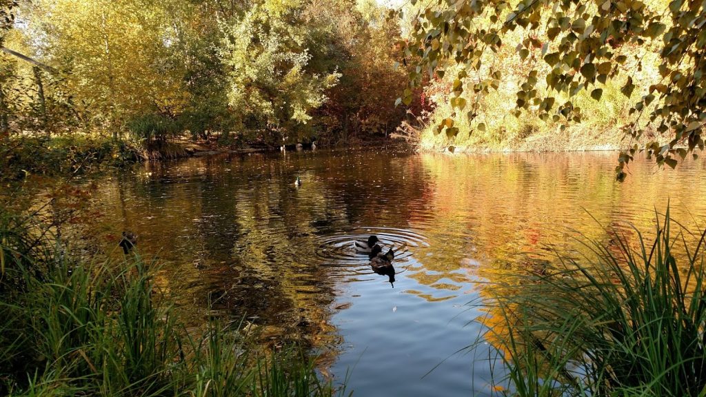 Mamaieva Sloboda Lake.jpg